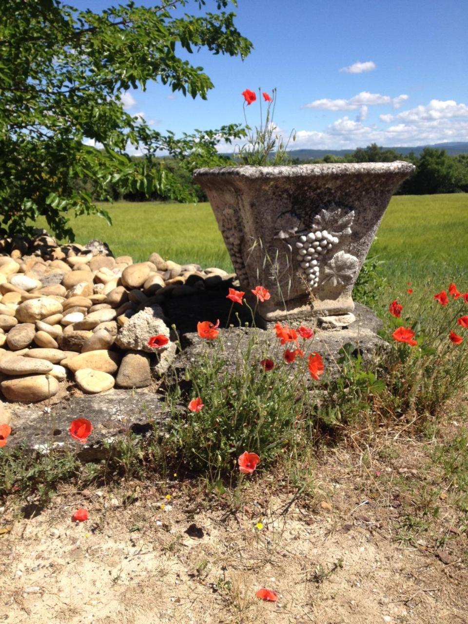 La Salamandre Bleue Villa Chantemerle-lès-Grignan Esterno foto